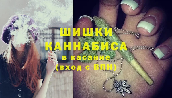 сатива Баксан